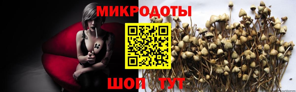 Ефремов  Галлюциногенные грибы MAGIC MUSHROOMS  Галлюциногенные грибы MAGIC MUSHROOMS  Вход с VPN 